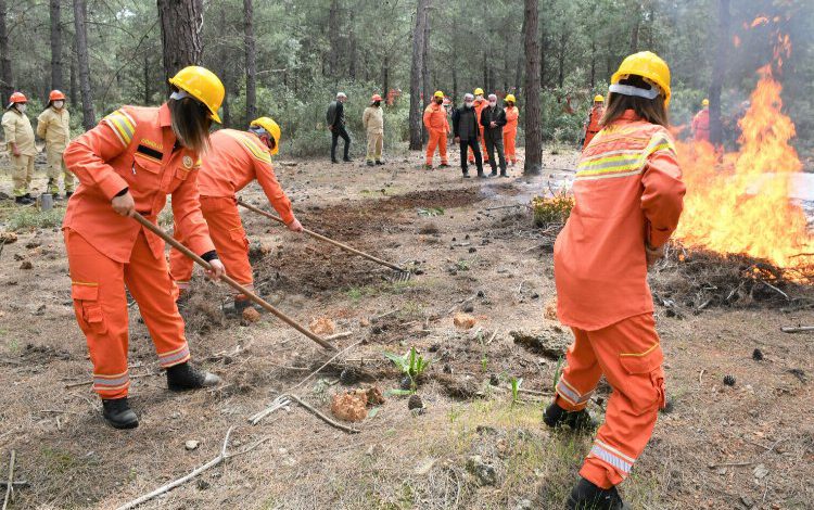 Orman yangılarında mücadeleye hedef 100 bin gönüllü