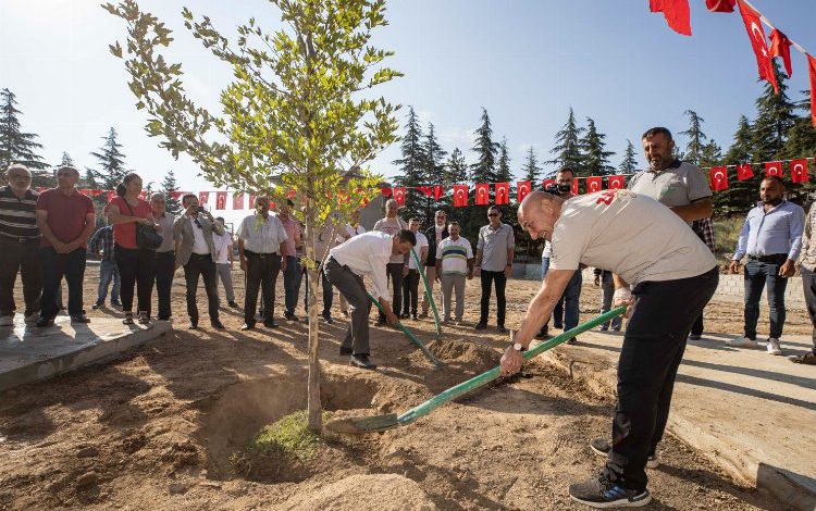 Zafer ve Anma coşkusu ‘Barış Çınarı’ ile pekişti Zafer ve Anma coşkusu ‘Barış Çınarı’ ile pekişti