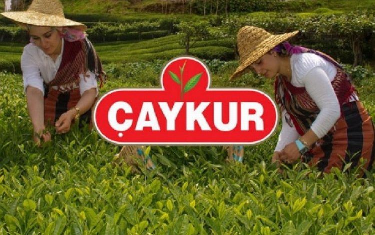 ÇAYKUR 3. sürgün alımına 1 Eylül’de başlıyor ÇAYKUR 3. sürgün alımına 1 Eylül’de başlıyor
