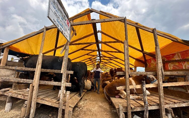 Çayırova’da kurban pazarı esnafından Başkan Çiftçi’ye teşekkür Çayırova’da kurban pazarı esnafından Başkan Çiftçi’ye teşekkür