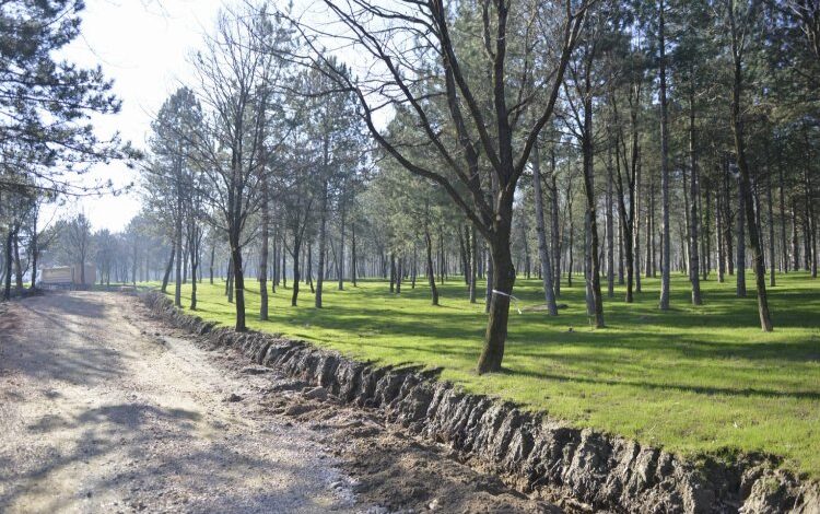 Bursa’da ‘Yeşil Yıldırım’ hamlesi