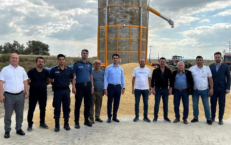 İpsala’da çeltik hasadı başladı İpsala’da çeltik hasadı başladı