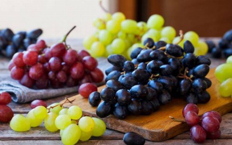 Tüketimi faydalı lezzetli meyve: Üzüm Tüketimi faydalı lezzetli meyve: Üzüm