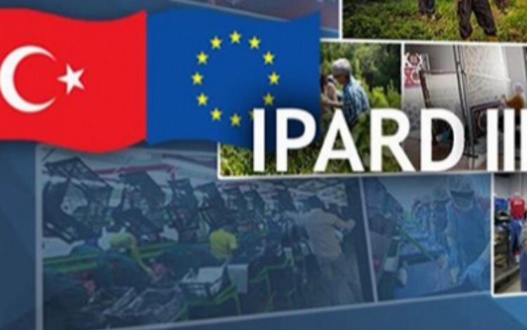 81 il Ekoturizm hibe kapsamına alındı 81 il Ekoturizm hibe kapsamına alındı