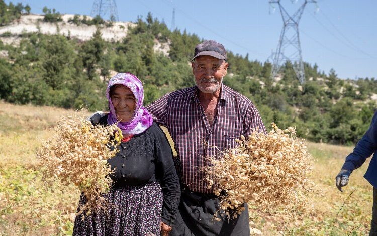 Büyükşehir’den toprağa bereket desteği Büyükşehir’den toprağa bereket desteği