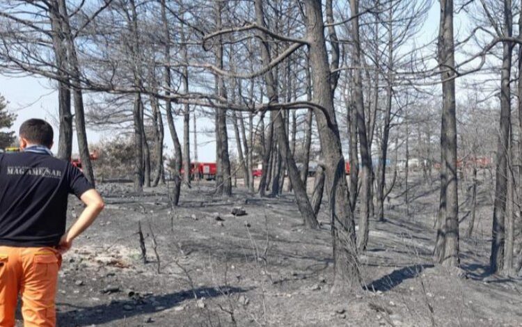 Beylikdüzü’nden Çanakkale’ye takviye Beylikdüzü’nden Çanakkale’ye takviye