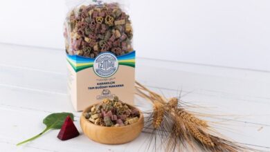 Karakılçık buğdayı Amerika ve Kanada yolunda