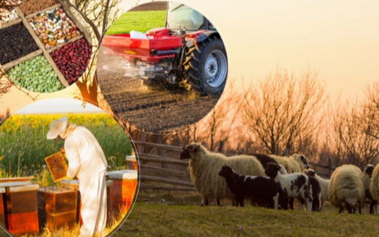 1,7 milyar TL’lik destek hesaplarda 1,7 milyar TL’lik destek hesaplarda