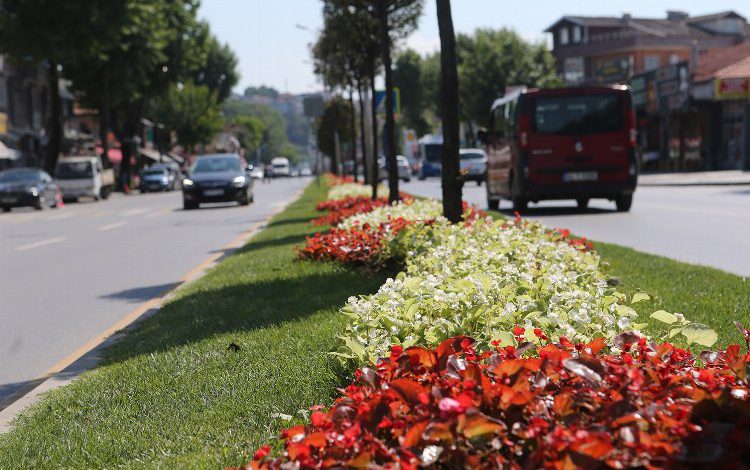 Sakarya çiçek bahçesine döndü Sakarya çiçek bahçesine döndü