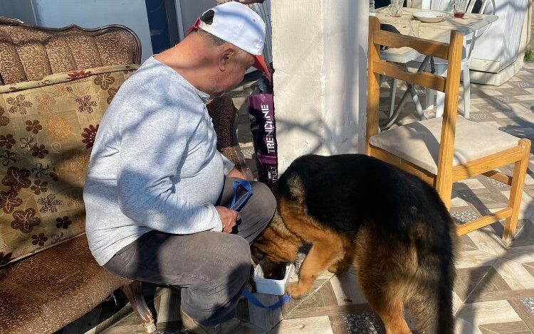 Manisa Büyükşehir sahiplendirmeye devam ediyor