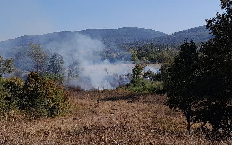 Alevler tabiat parkına ulaşmadan söndürüldü Alevler tabiat parkına ulaşmadan söndürüldü
