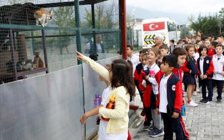 Bursa İnegöl’deki barınağı ayda 400 kişi ziyaret ediyor