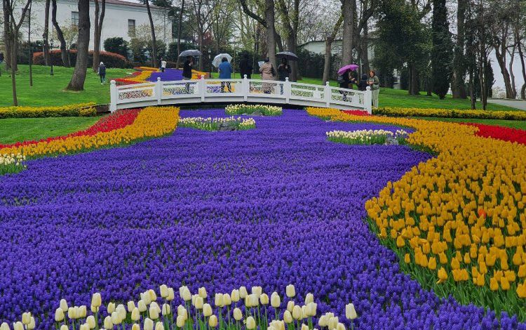 İstanbul’da Lale Bayramı coşkuyla kutlanacak