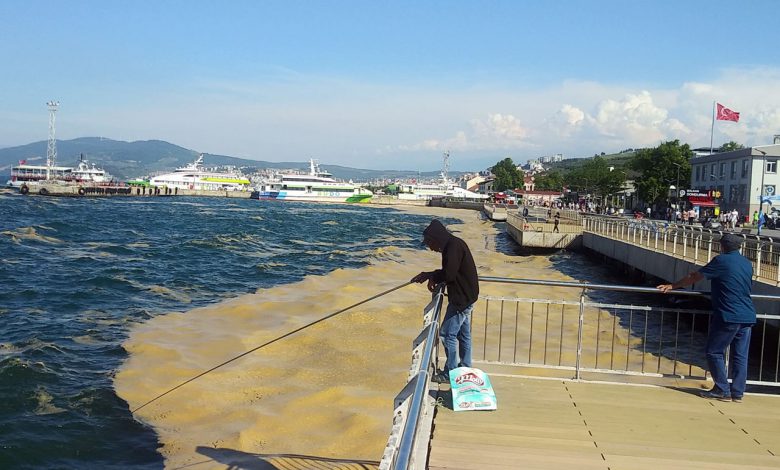 Müsilaj Komisyonu tatilde de çalışacak Müsilaj Komisyonu tatilde de çalışacak