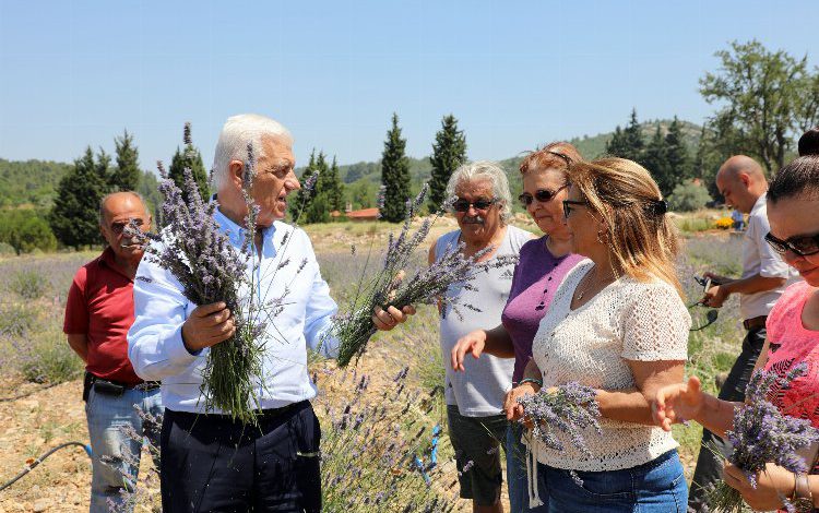 Muğla koku vadisine marka tescili alındı Muğla koku vadisine marka tescili alındı