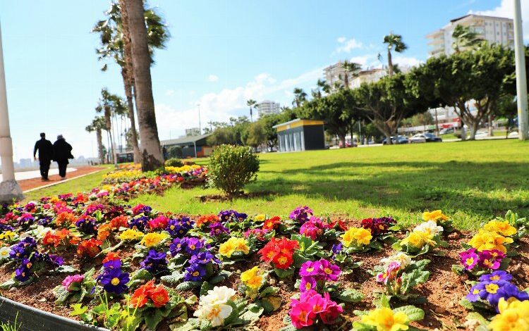 Mersin yazı çiçeklerle karşılıyor Mersin yazı çiçeklerle karşılıyor