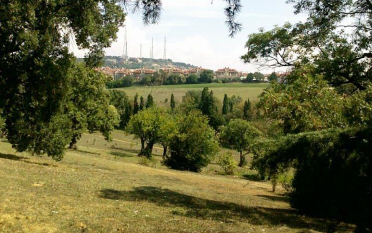Mahkeme Validebağ’da İstanbul Büyükşehir Belediyesi haklı buldu