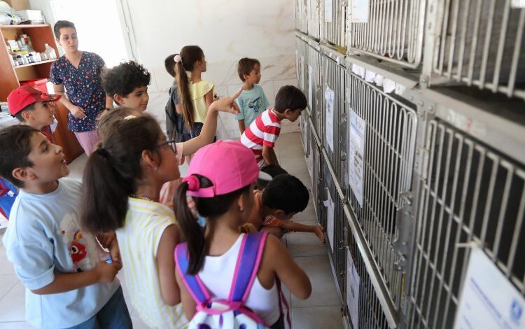 Bodrum’da öğrencilerden can dostlara ziyaret Bodrum’da öğrencilerden can dostlara ziyaret