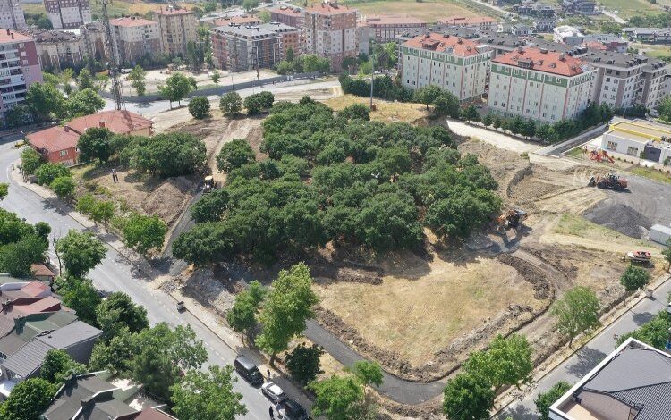 Gürpınar Kent Ormanı Beylikdüzü’ne nefes olacak Gürpınar Kent Ormanı Beylikdüzü’ne nefes olacak