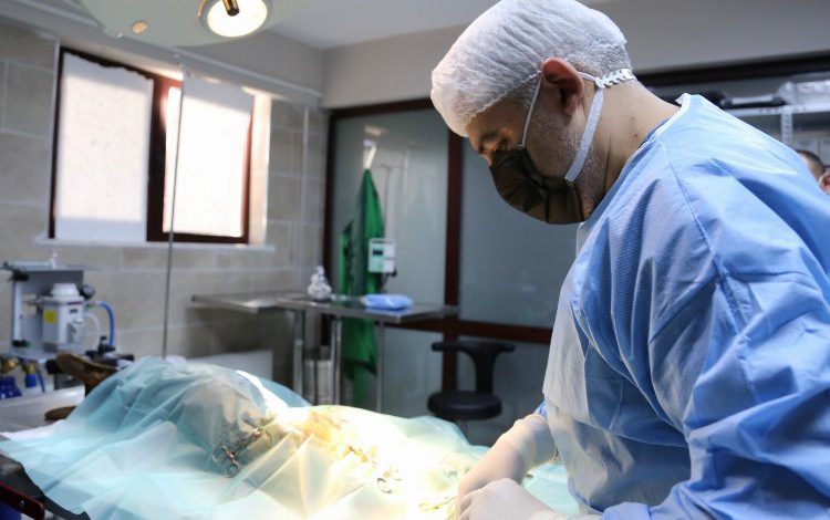 Yaralı köpek Kocaeli Büyükşehir kucak açtı Yaralı köpek Kocaeli Büyükşehir kucak açtı