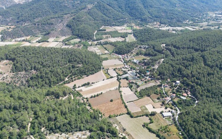 Yatırımcılar arsaya yöneldi Yatırımcılar arsaya yöneldi