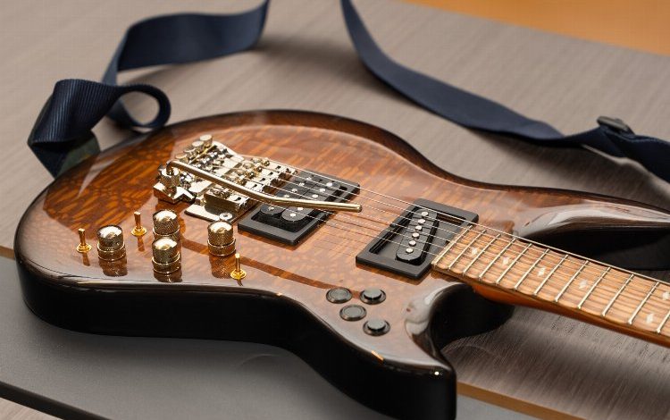 Shark Gitar 2,5 milyon Euro yatırım aldı