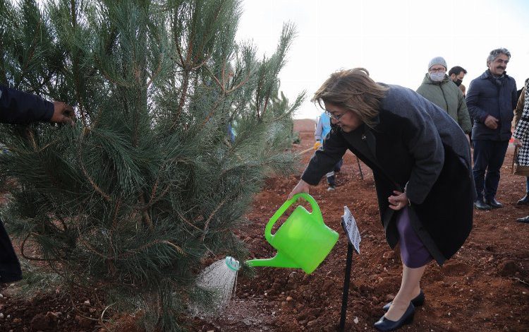 Yeşil Gaziantep Projesi ile 250 Karaçam toprakla buluştu Yeşil Gaziantep Projesi ile 250 Karaçam toprakla buluştu
