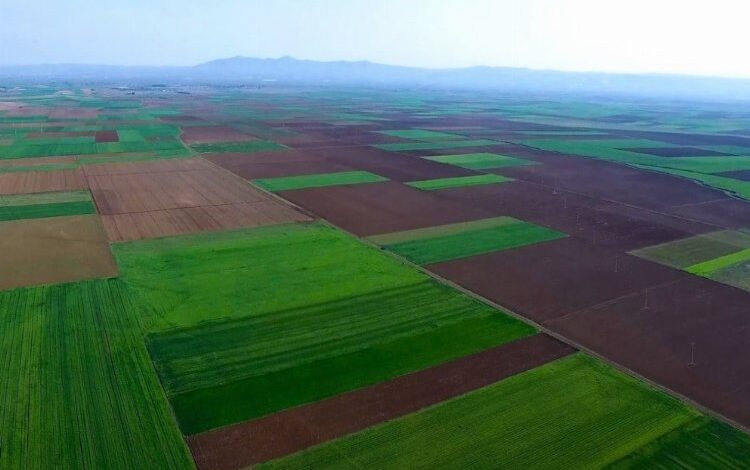 Eskişehir’e Bursa izin vermedi! Ova böyle kalacak