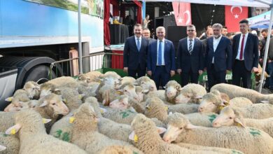 Üreticilere bayram öncesi koç desteği