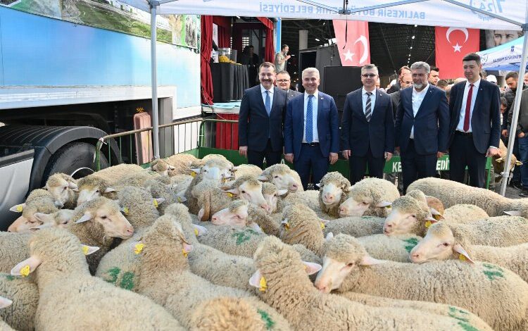 Üreticilere bayram öncesi koç desteği