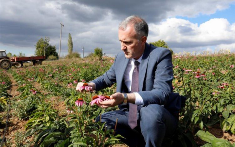 Bursa İnegöl’de ilk hasadın çayı Başkan Taban’a hediye edildi Bursa İnegöl’de ilk hasadın çayı Başkan Taban’a hediye edildi