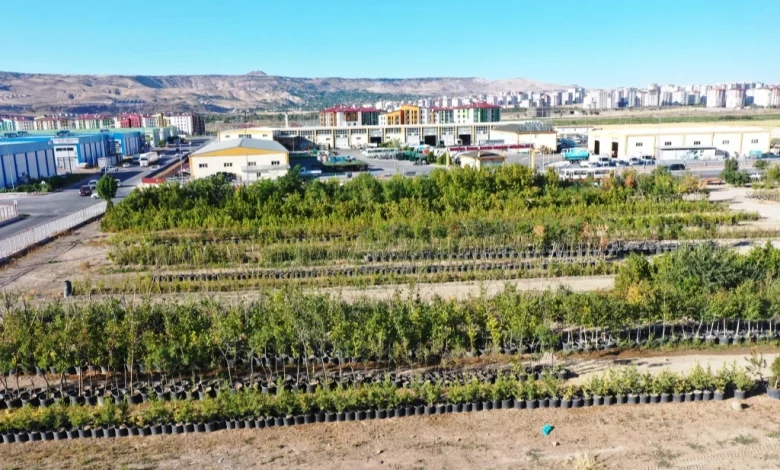 Başkan Çolakbayrakdar, “Yeşil ve daha yeşil bir Kayseri için çalışıyoruz” Başkan Çolakbayrakdar, “Yeşil ve daha yeşil bir Kayseri için çalışıyoruz”