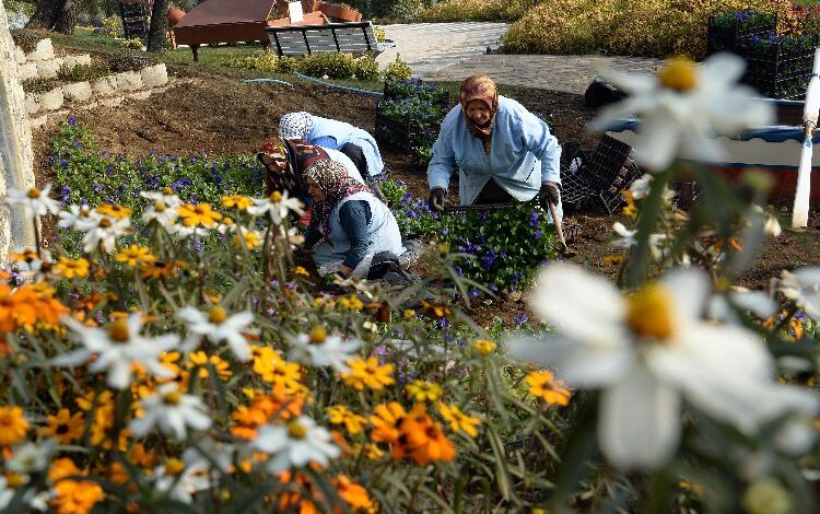 Bursa Osmangazi’nin ‘Macera Bursa’sında kış çiçekleri