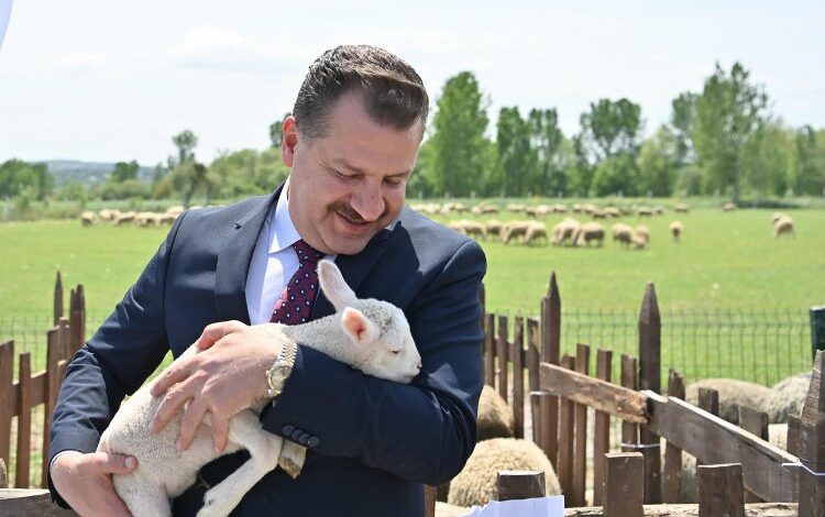 Hayvancılık atağı başladı Hayvancılık atağı başladı