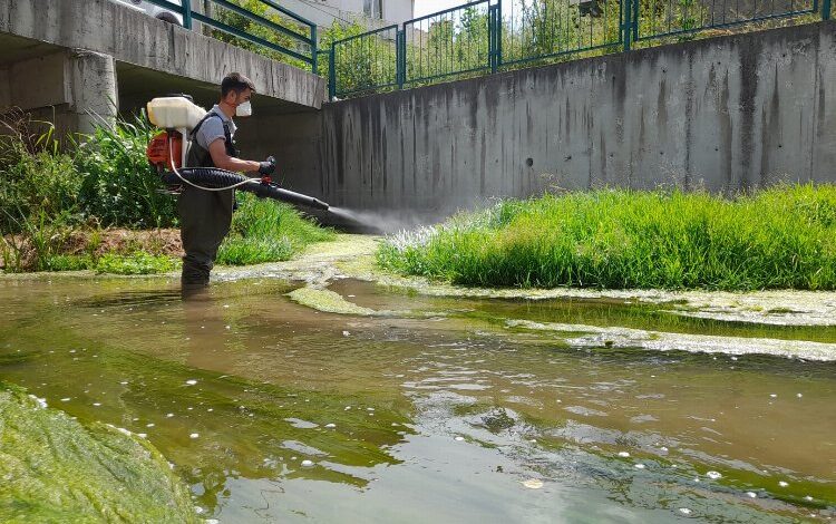 Kütahya genelinde ilaçlama sürüyor