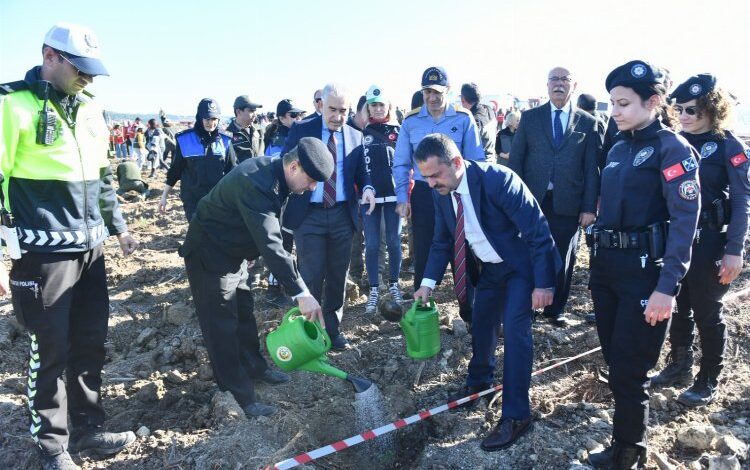 Fidanlar toprakla buluşturuldu Fidanlar toprakla buluşturuldu