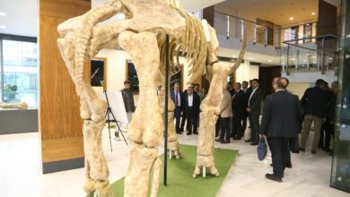 Kayseri Büyükşehir fosil faunasını canlandıracak