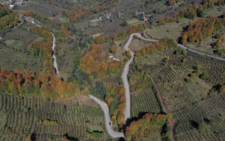 4,5 yılda ömürlük yatırım