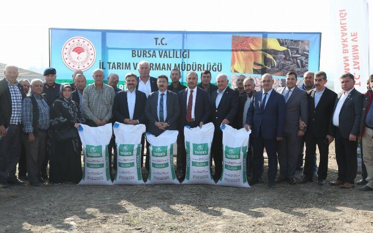 Bursa’da tarlalar tohum desteğiyle yeşeriyor