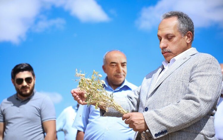 Kayseri Talas’tan tarıma tam destek Kayseri Talas’tan tarıma tam destek