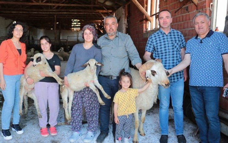 Çiftçiye “koç” gibi destek