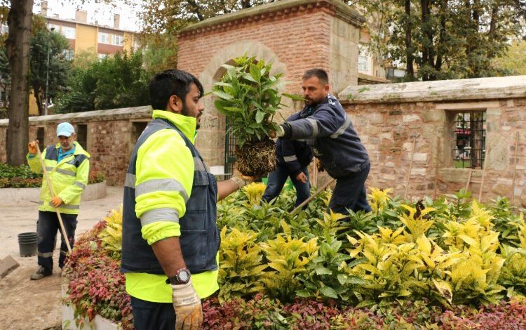 Kocaeli’de yenilenen ve yeşillenen Yeni Cuma avlusu Kocaeli’de yenilenen ve yeşillenen Yeni Cuma avlusu