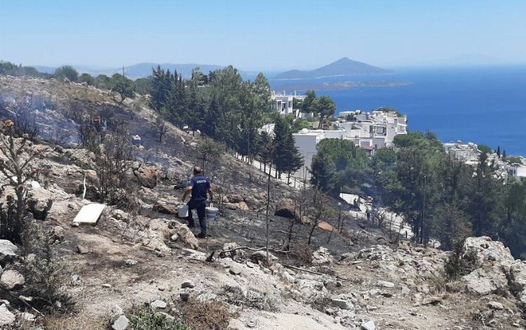 Bodrum’daki peşi sıra yangınlar destek ekipleriyle kontrol altında