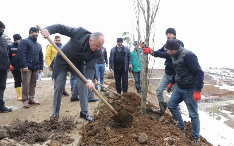 Rize Belediyesi binlerce ağacı toprakla buluşturuyor