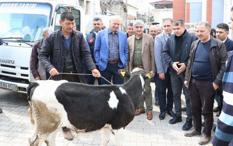 Manisa Kulalı hayvan üreticilerine önemli destek Manisa Kulalı hayvan üreticilerine önemli destek