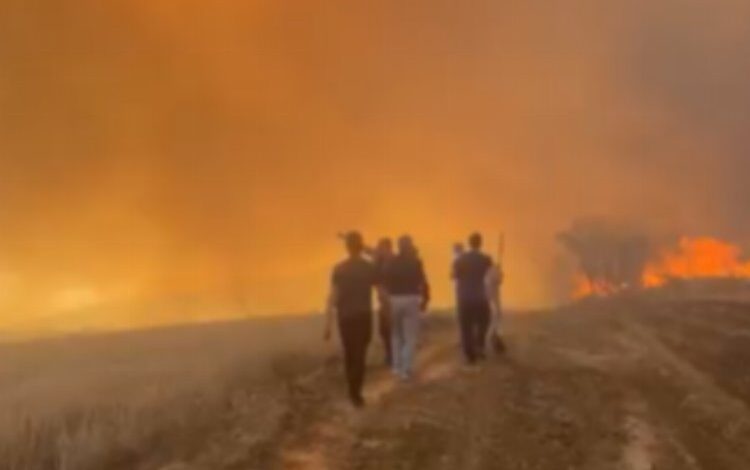 Yine ciğerlerimiz yandı