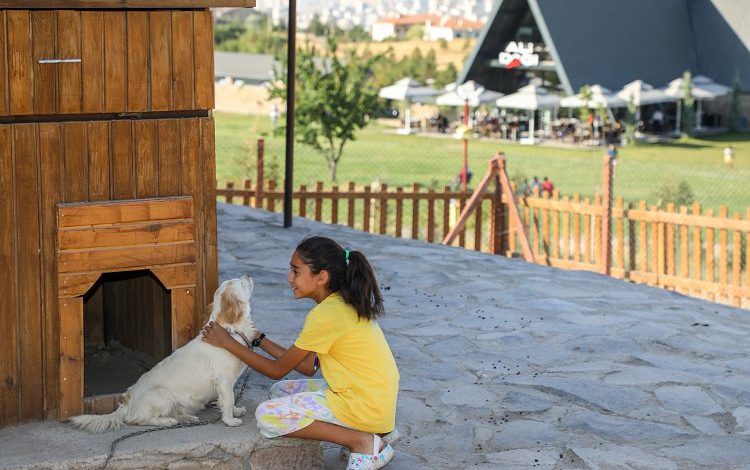 Çocuklara ‘360 Mini Çiftlik’te’ hayvan sevgisi aşılanıyor