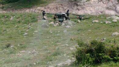 Manisa’da tarla çekirgelerine ‘drone’lu mücadele