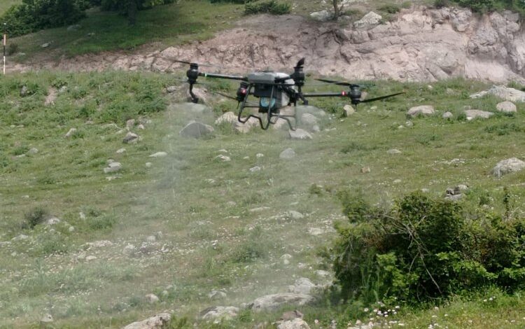 Manisa’da tarla çekirgelerine ‘drone’lu mücadele