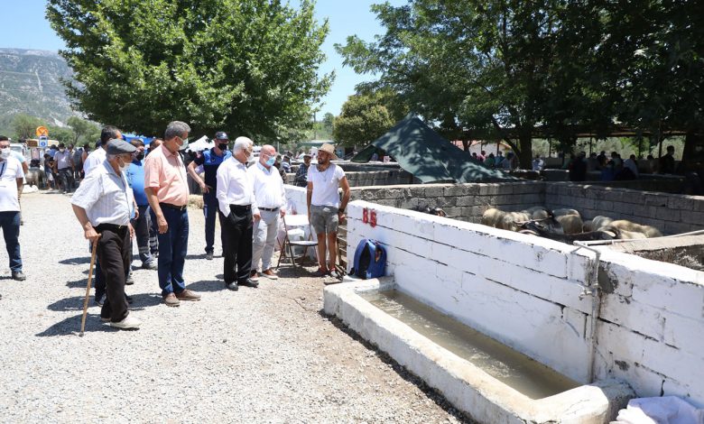 Muğla’da mezbahalara yoğun ilgi Muğla’da mezbahalara yoğun ilgi